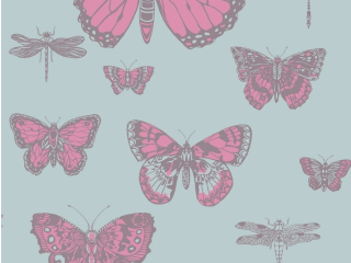Cole & Son Schmetterlinge & Libellen - 103/15062