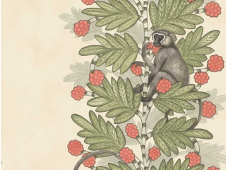 Cole & Son Akazie - 109/11051