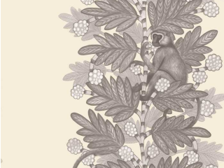 Cole & Son Akazie - 109/11053