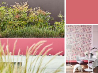 Little Greene Intelligent Matt Emulsion - Karmesin 189