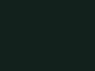 Little Greene Intelligent Floor Paint - Obsidiangrün 216