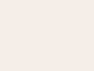 Little Greene Wall Primer Sealer - Hollyhock 25