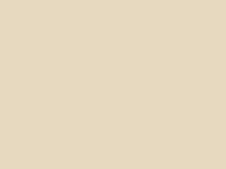 Paint & Paper Library Pure Flat Emulsion - Sand IV 264