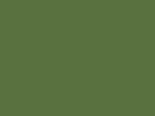 Little Greene Intelligent Exterior Eggshell - Hopper 297