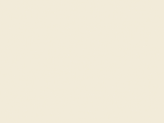 Little Greene Wall Primer Sealer - Silent Weiß 329