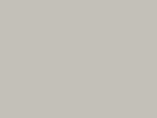 Paint & Paper Library Architects' Gloss - Salz IV 334