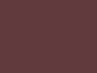 Paint & Paper Library Pure Flat Emulsion - Grenache 372