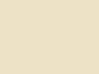 Paint & Paper Library Pure Flat Emulsion - Papier III 433