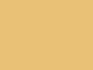 Paint & Paper Library Pure Flat Emulsion - Sonnenschirm 508