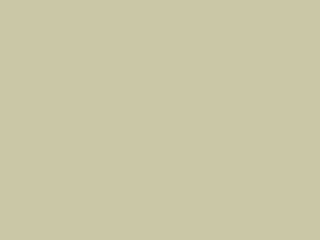 Paint & Paper Library Architects' ASP - Willow V 535