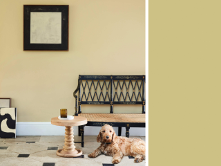 Little Greene Intelligent Eggshell - Eichenapfel 63