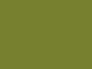Little Greene Intelligent ASP - Citrin 71