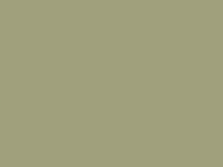 Little Greene Wall Primer Sealer - Normandie Grau 79