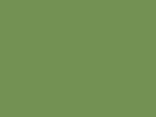 Little Greene Intelligent Gloss - Garten 86