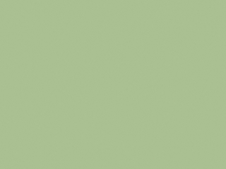 Little Greene Intelligent Floor Paint - Erbsengrün 91
