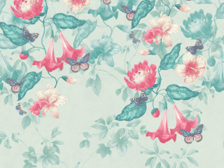 Blumentapete Asterid - Island von Little Greene