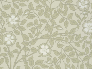 Grüne Tapete mit beigen Blumen von Little Greene - Briar Rose - Green Stone