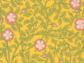 Gelbe Tapete mit rosa Blumen Briar Rose - Indian Yellow Little Greene