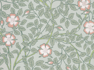Little Greene Briar Rose - Salix Tapete mit Blumen und Blättern