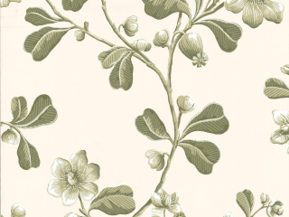 Little Greene Broadwick Street - Garden Tapete, reichlich verziert mit grünen Blumen und Blättern