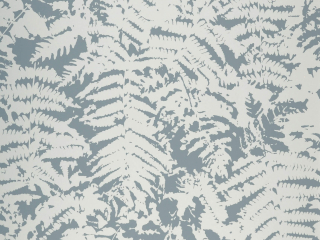 Blaue Tapete mit großen grauen Blättern Fern - Clearing von Little Greene