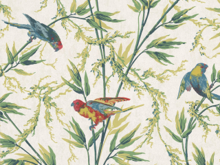 Little Greene Great Ormond Street - Tropical Tapete mit kleinen bunten Vögeln und zierlichen Gräsern