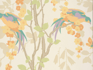 Little Greene Loriini - Neu