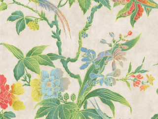 Little Greene Paradies - Feder
