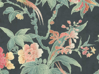 Little Greene Paradies - Nachtschatten