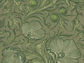 Little Greene Poppy Trail - Salbeigrün