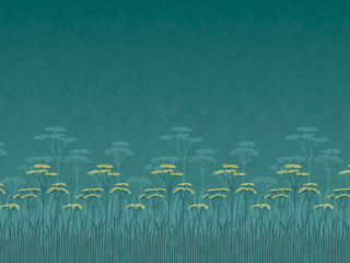 Achillea - Aurora Tapete von Little Greene