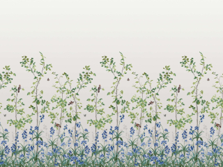 Bird & Bluebell - Ceviche Tapete mit weißem Hintergrund und blauen Blumen von Little Greene