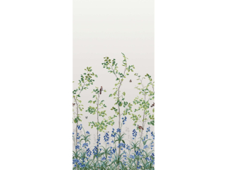 Little Greene Bird & Bluebell - Ceviche