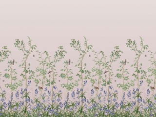 Bird & Bluebell - China Clay Tapete Little Greene