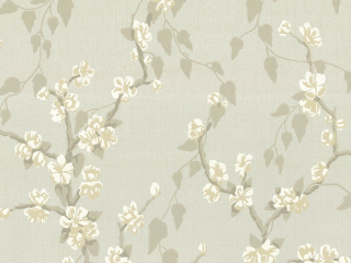 Little Greene Sakura - Hellbraun