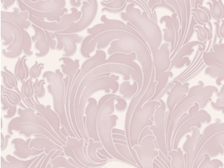 Little Greene Tulpe - Zucker