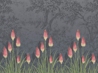 Little Greene Upper Brook Street - Mitternacht