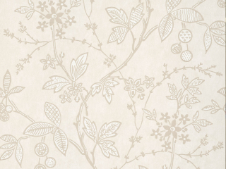 Little Greene Wrest Trail - Kalkputz