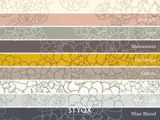 Paint & Paper Library Aeonium - Reines Weiß