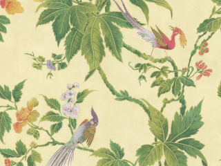 Little Greene Paradies - Sonnenaufgang