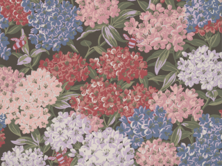 Little Greene Rhododendron-Weg - unsichtbares Grün