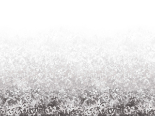 Paint & Paper Library Folia - Perse Grau