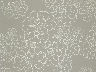 Paint & Paper Library Aeonium - Stiel
