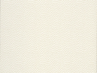 Paint & Paper Library Samenkapsel - Sand