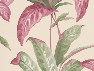 Paint & Paper Library Tropicane - Rhabarber
