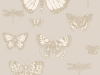 Cole & Son Schmetterlinge & Libellen - 103/15064