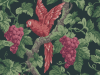 Cole & Son Woodvale Obstgarten - 116/5020