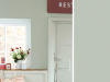 Little Greene Intelligent ASP - Perlmuttfarbe Dunkel 169