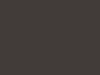 Paint & Paper Library Pure Flat Emulsion - Kupferbuche 314