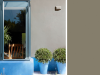 Little Greene Intelligent Exterior Eggshell - Schluff 40
